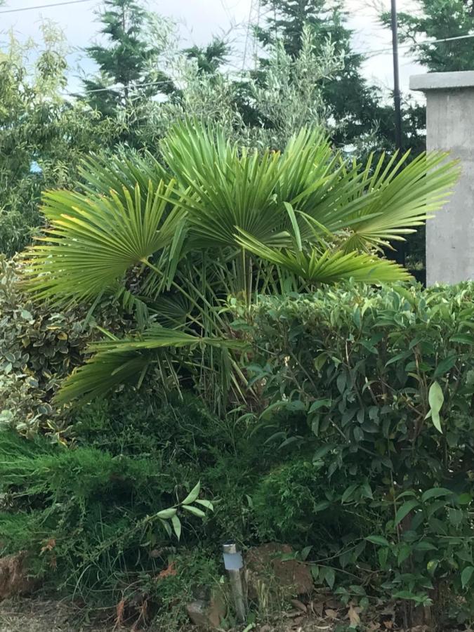 Casa Dei Fiori Villa Asprovalta Bagian luar foto