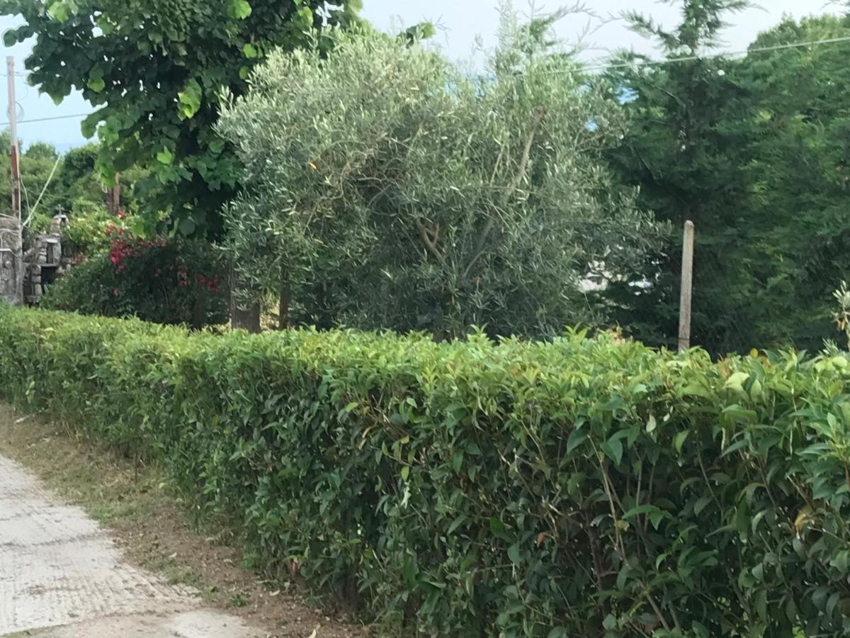 Casa Dei Fiori Villa Asprovalta Bagian luar foto